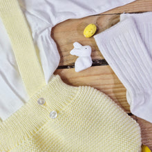 Load image into Gallery viewer, LEMON BOYS KNITTED COTTON 2 PIECE